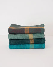 Load image into Gallery viewer, COTTON WASH CLOTH - AQUA &amp; FOREST GREEN
