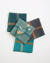 Load image into Gallery viewer, COTTON WASH CLOTH - AQUA &amp; FOREST GREEN
